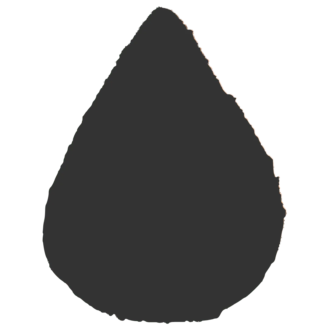 Coxinha